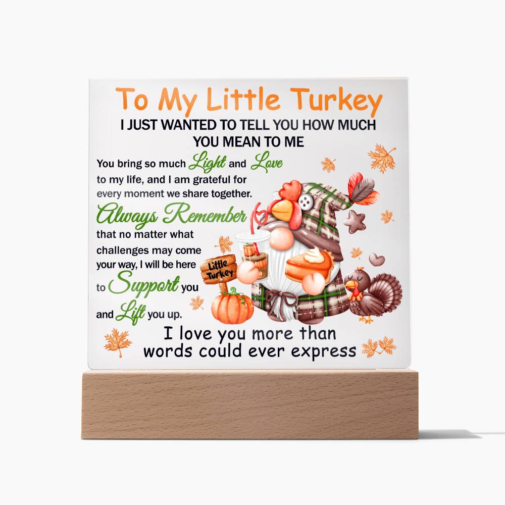 Little Turkey - Lift You Up