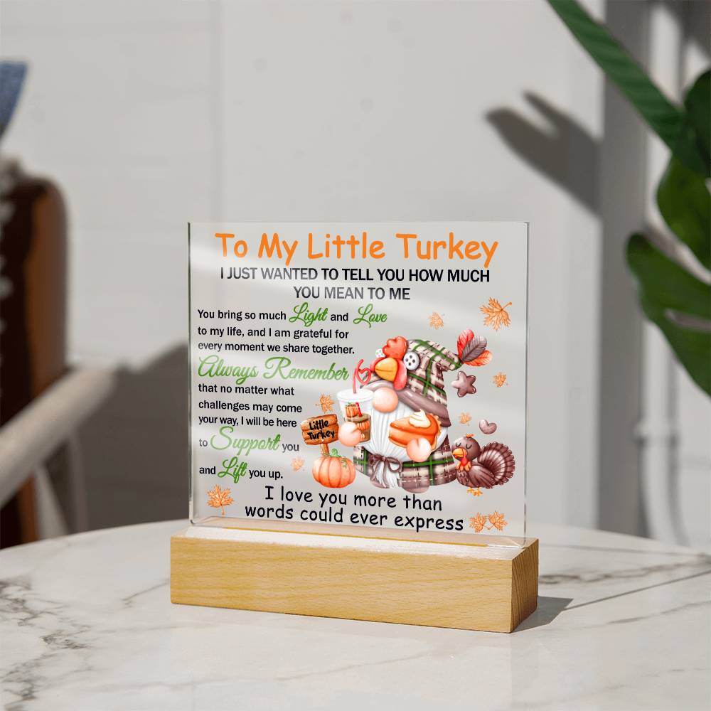 Little Turkey - Lift You Up