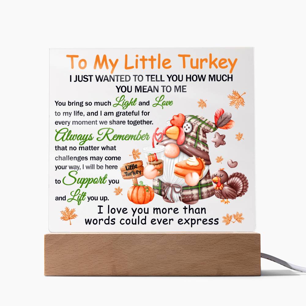 Little Turkey - Lift You Up